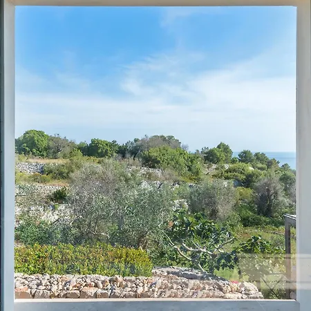 Trullo Contessina 托雷瓦多